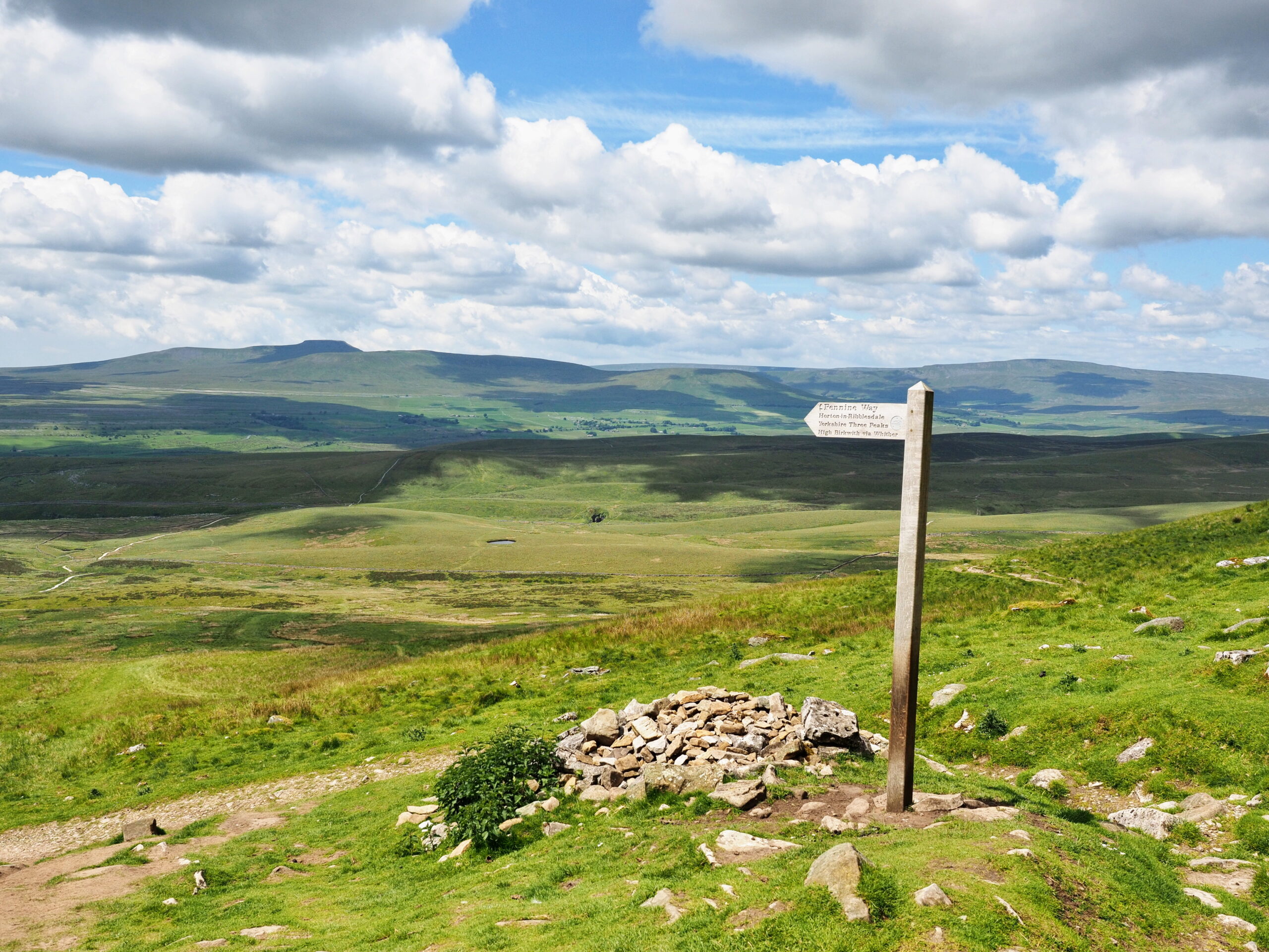 Bluebell Wood launches its own Yorkshire Three Peaks Challenge