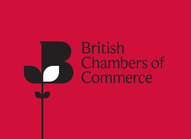 BCC Quarterly Economic Survey: Business Confidence Boost Fails To Revive Investment