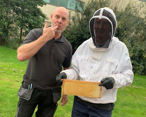 Swarms of Bees arrive at Mercure Sheffield Parkway Hotel