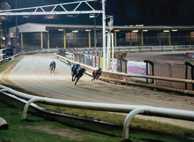 Celebrating the Thrills and Elegance of Greyhound Racing during National Greyhound Week at Owlerton Stadium