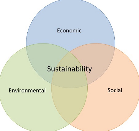World Environment Day 2022 and Sustainability – How does this affect your business?