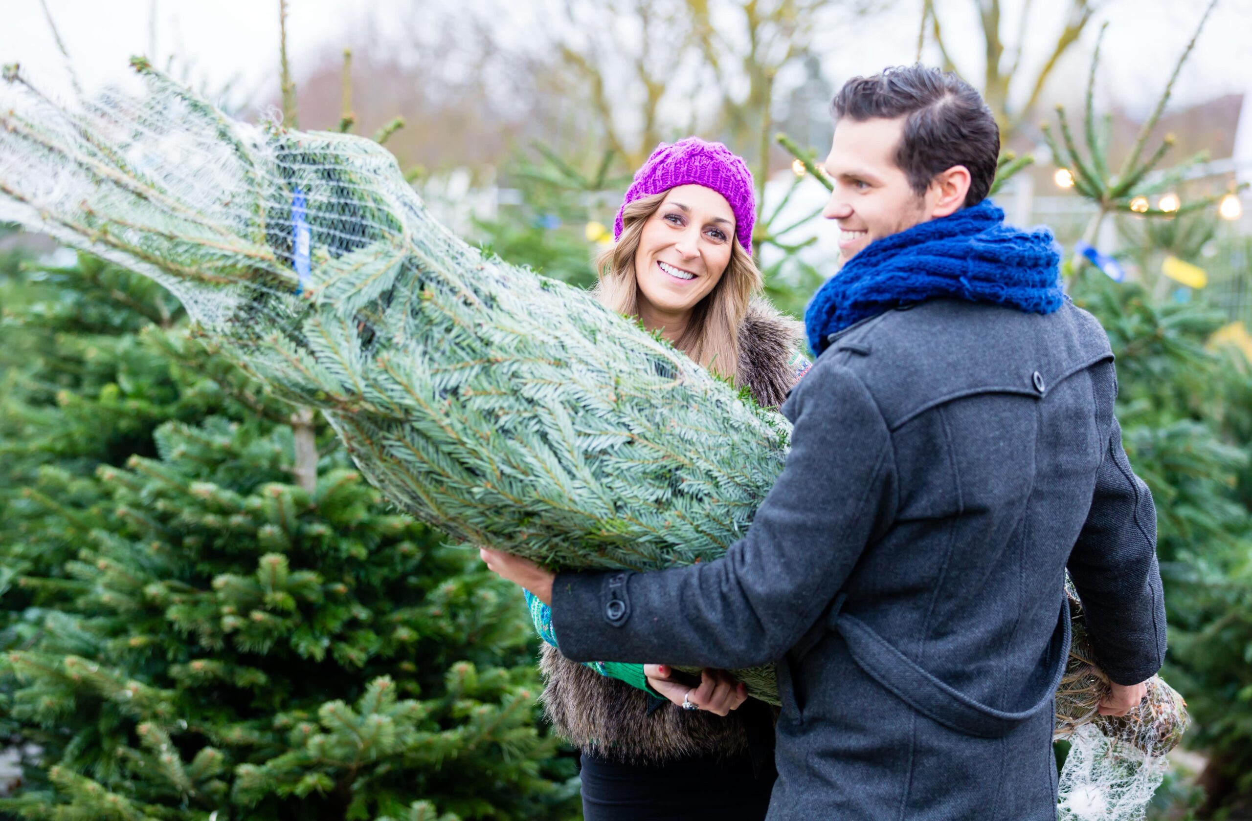 Bluebell Wood launches Christmas tree recycling service across Rotherham