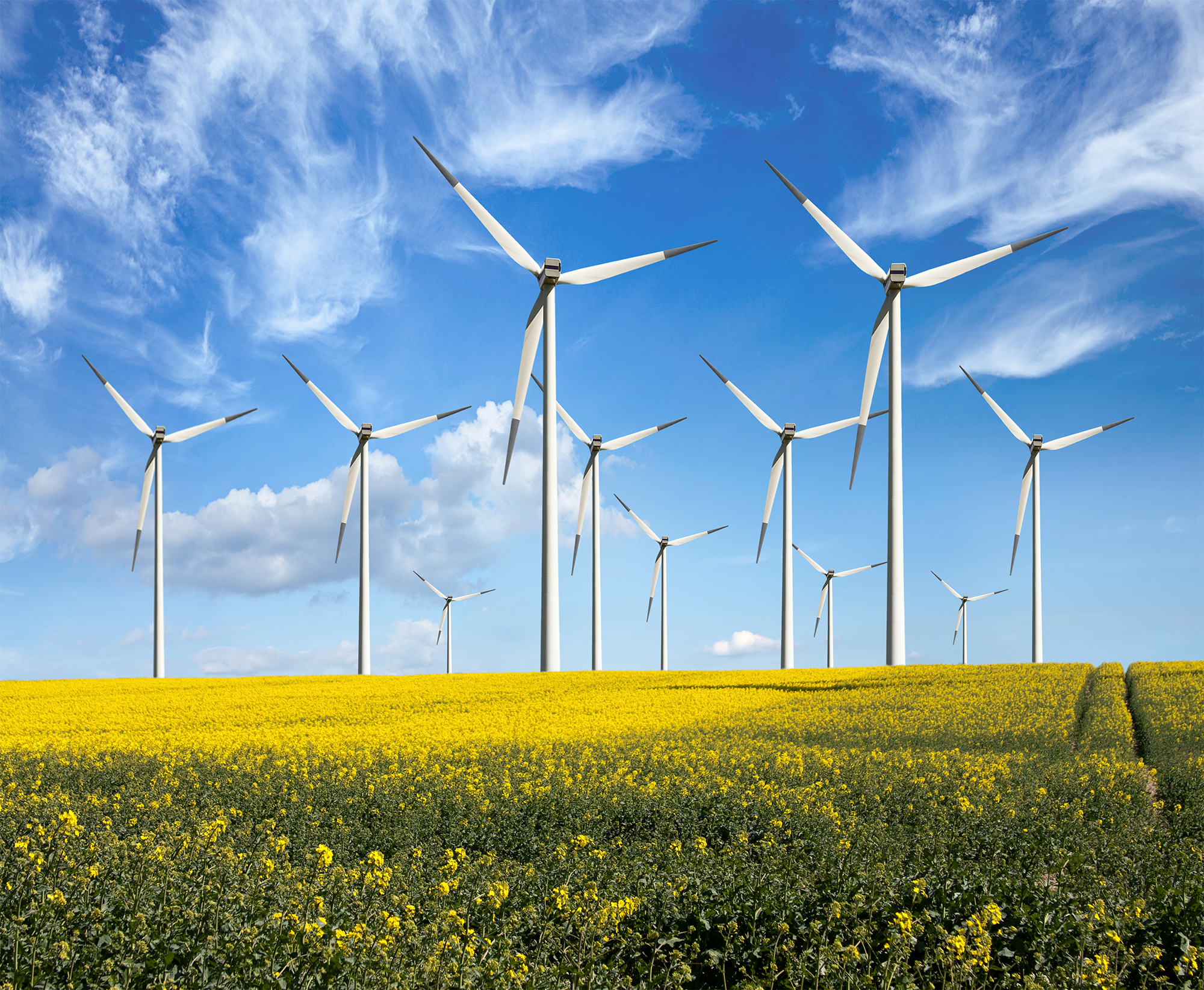 Business Energy Update from Professional Energy Purchasing