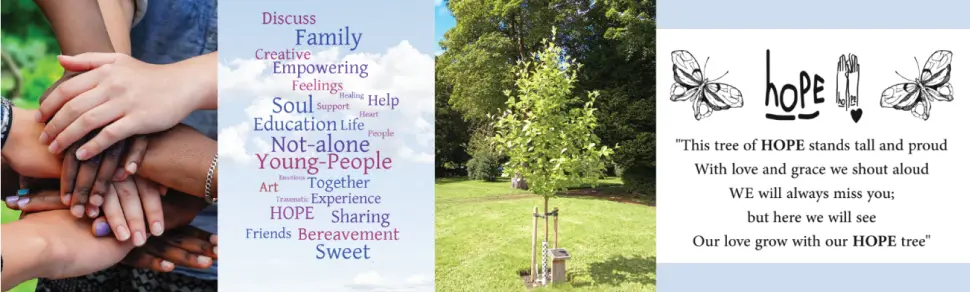 HOPE – South Yorkshire Trauma Support