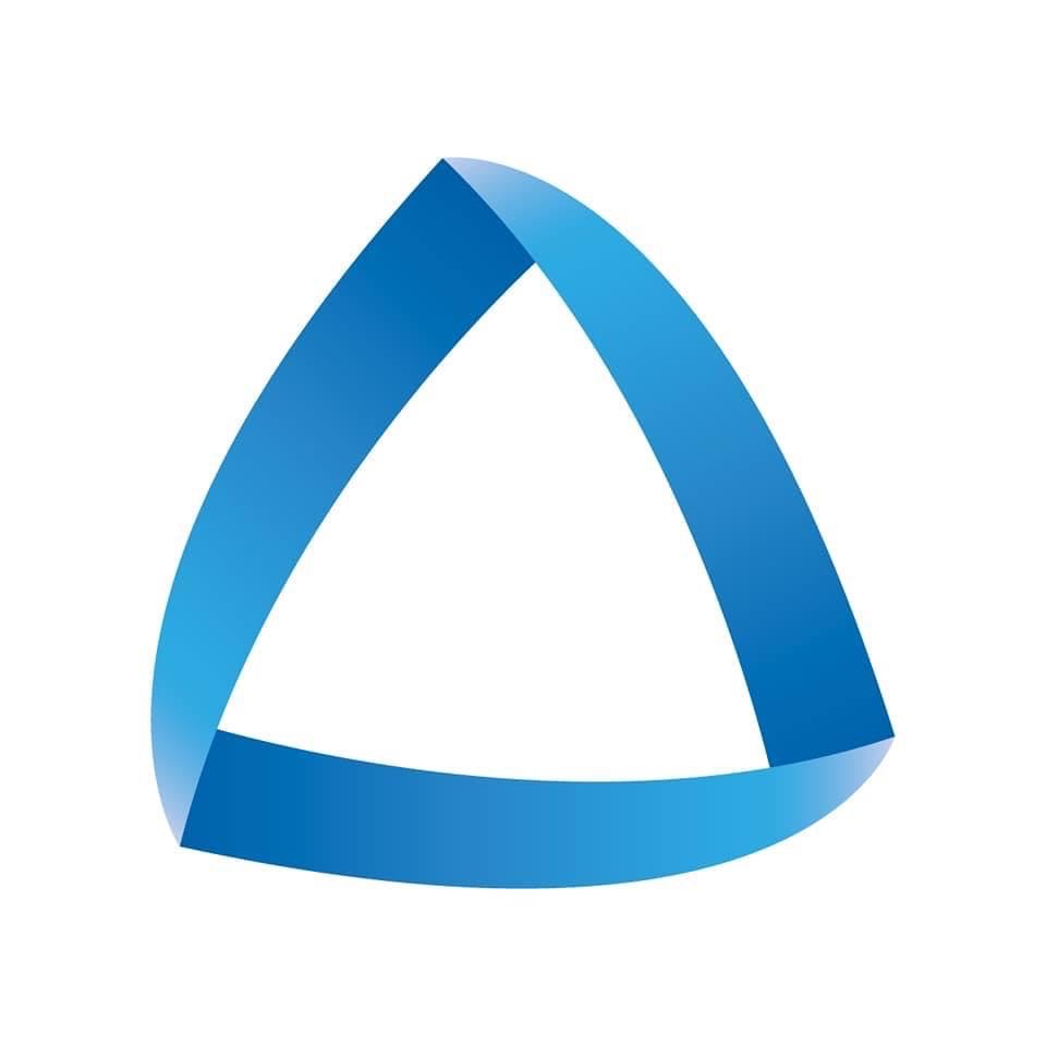 Integral Network Solutions