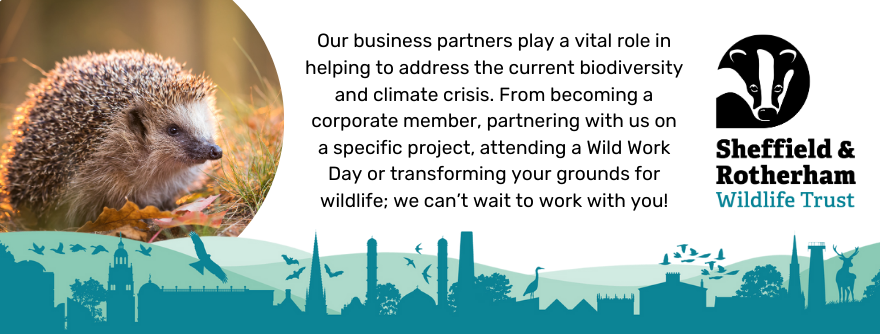 Sheffield & Rotherham Wildlife Trust