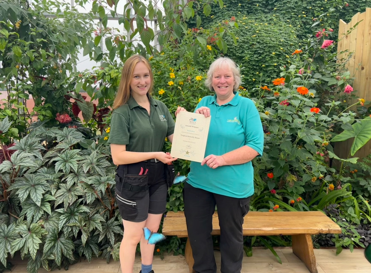 Blooming brilliant! Gold award for the Tropical Butterfly House