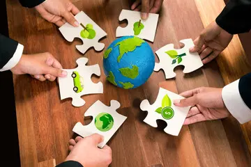 Net Zero for your Business