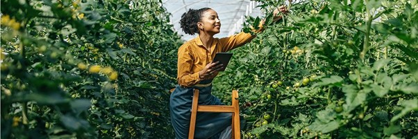 How to expand your business despite economic headwinds