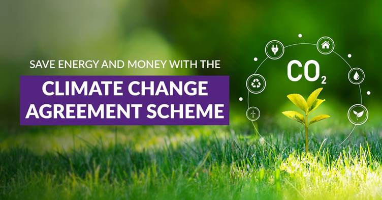 Make Sustainability Pay — Cut 92% from Your Climate Levy Tax.
