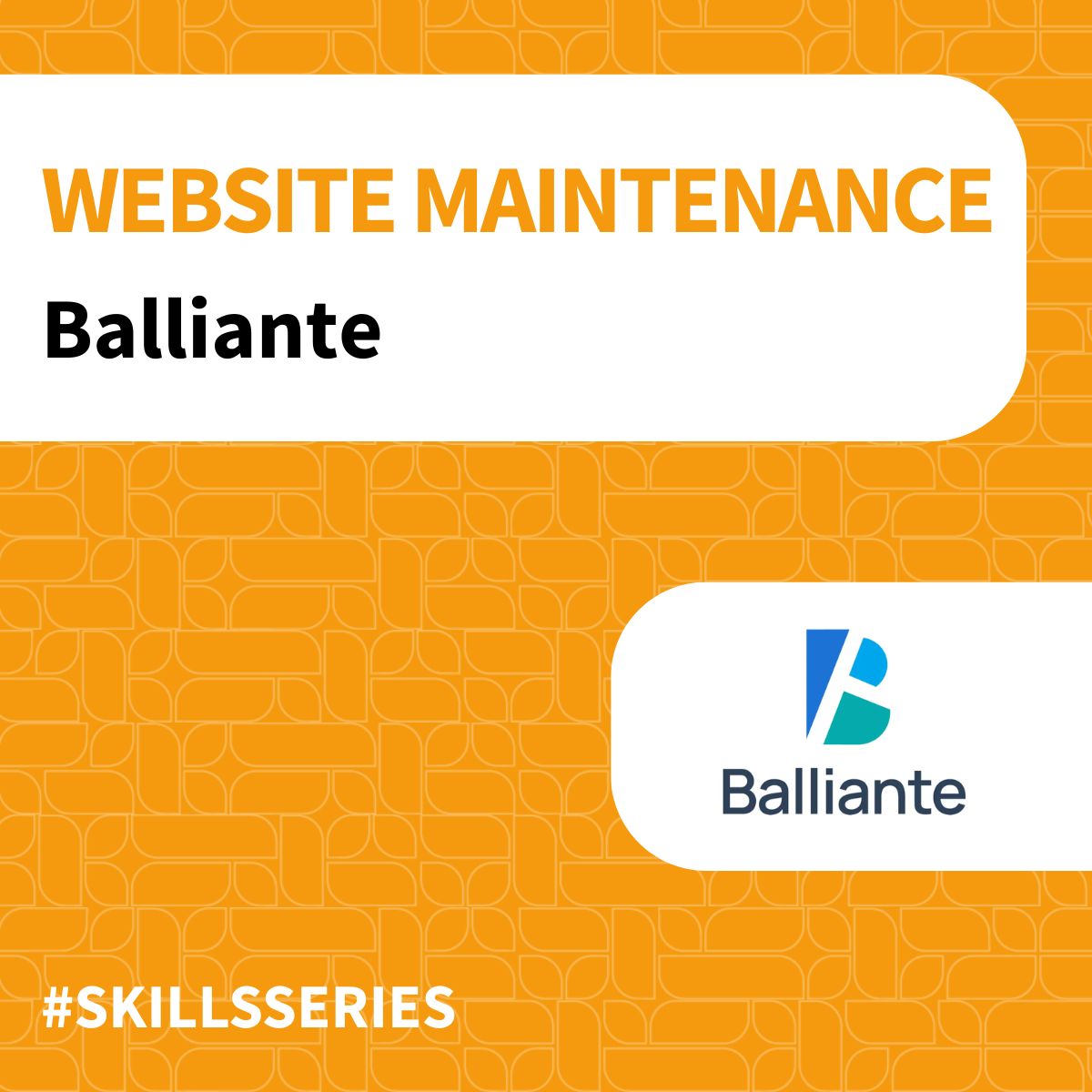 Skills Series - Website Maintenance