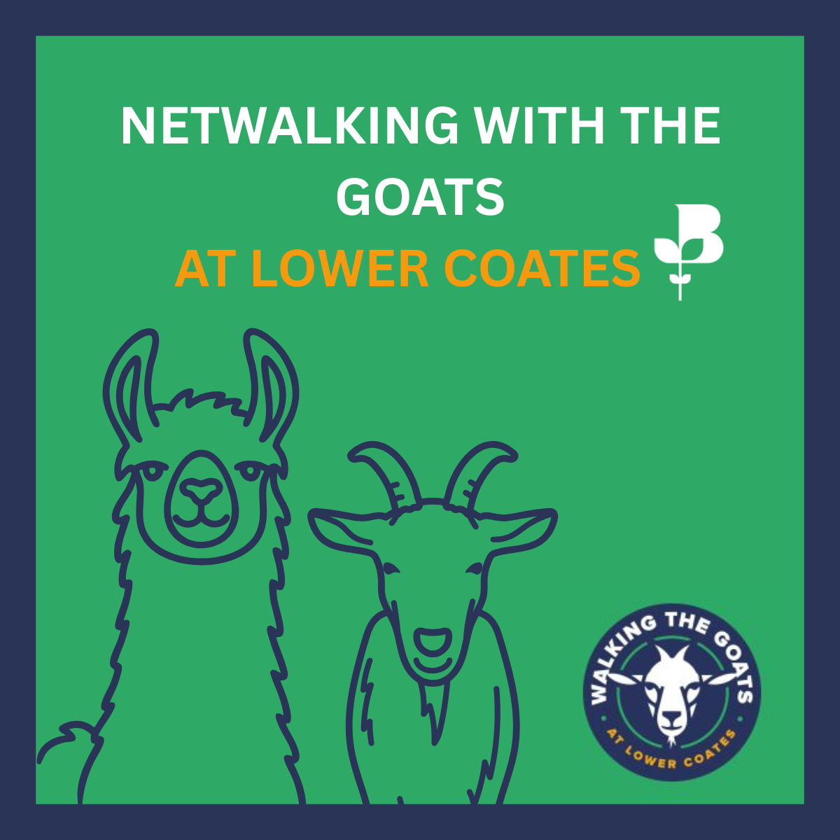 Chamber Netwalking with the Goats at Lower Coates Farm