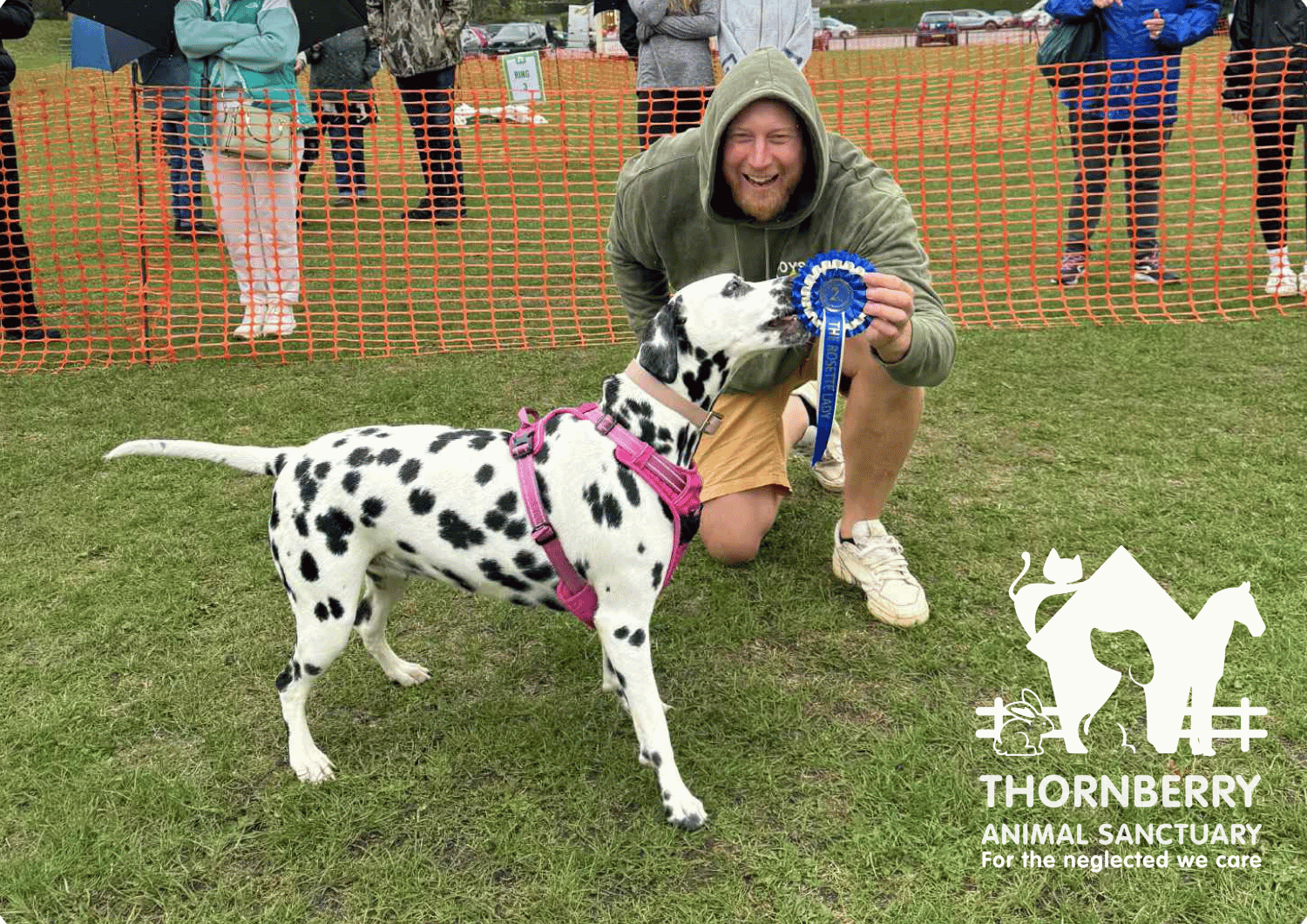Thornberry offers Judging opportunities for Dog Show Sponsors!